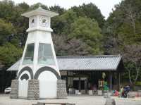 🏯 Climbing to the Sky – Iwakuni Castle Adventure