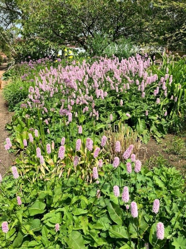 University of Leicester Botanic Garden