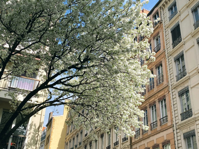 Lyon: A Relaxed Summer City Stroll ☀️🚶‍♀️