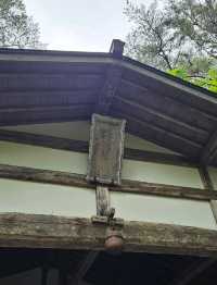 森林裡老神社記憶〔立保神社〕的重生與守護⛩️