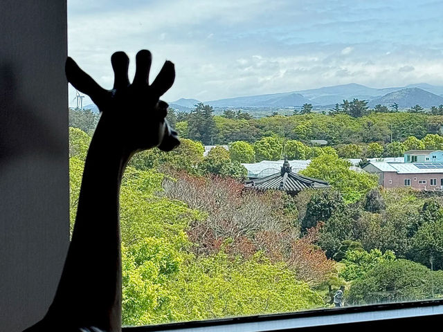 Jeju Island's Hidden Gem: Sosokkak — A Place of Thought and Healing! 🌳🧘‍♀️