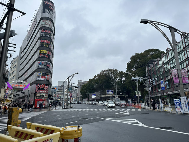 🔥「東京初見櫻花大爆發！穿越歷史畫卷的上野恩賜花園」