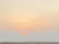 Dunes & Dreams: A Desert Adventure in Dubai