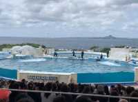 🐠 Dive into Wonder at Okinawa Churaumi Aquarium