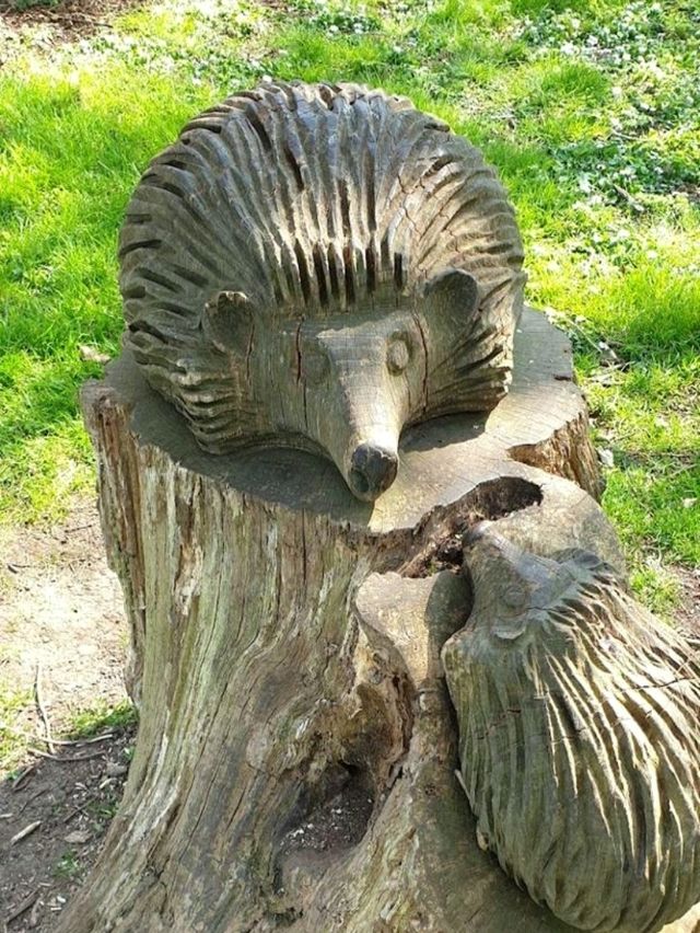 Happy Valley Park