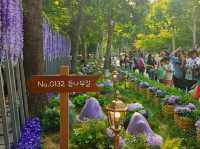 Look at all the Metamongs around the park!!!