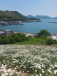 【しまなみ海道】海と島をつなぐ絶景サイクリングロード🌊🚴‍♀️