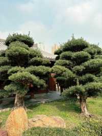 Nan Lian Garden