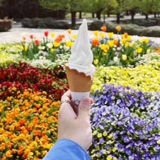 國營昭和紀念公園