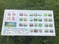 青森-大須賀海岸