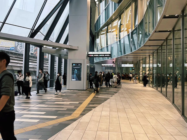 Stunning Views at SHIBUYA SKY