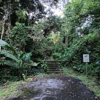 Bukit Brown Cemetery (Free historical walking site)