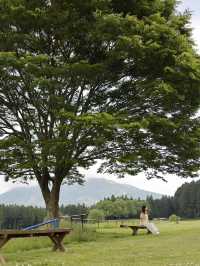 熊本風光盡收眼底：單車一日遊的完美指南
