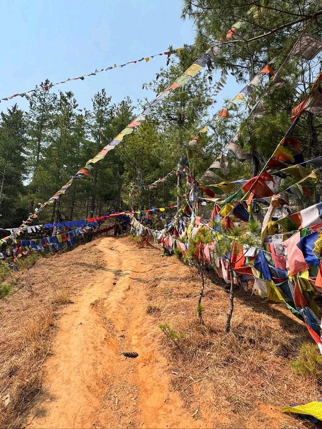 Thimphu Adventures Done Right