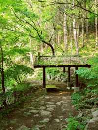 Dodeoksan Suspension Bridge 