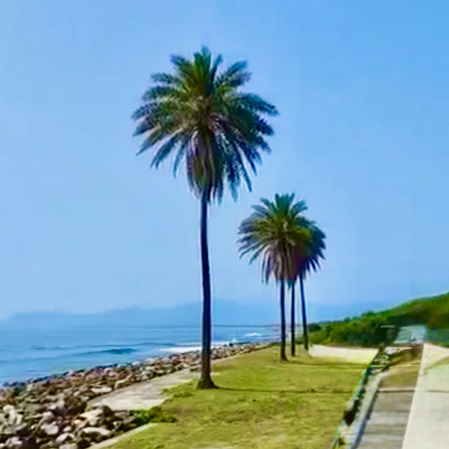 頭城好好晃！八角瞭望台看海；捌㡯珈琲喝咖啡看火車