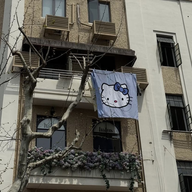 🌸✨ Wukang Road, Shanghai 