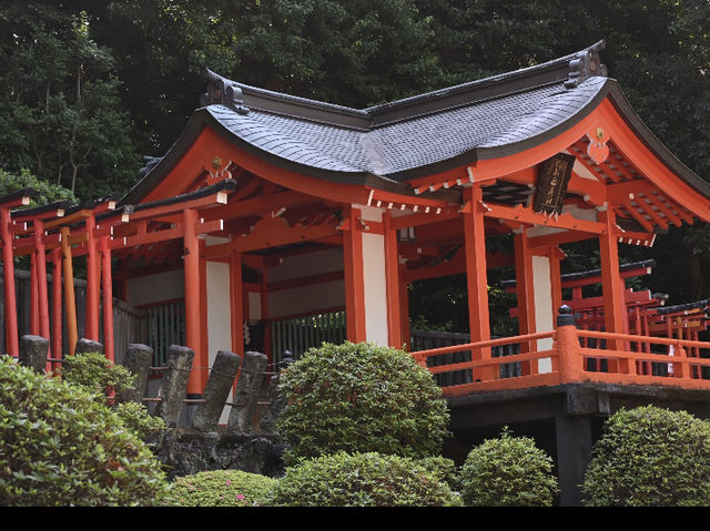 Half-Day Trip to Nezu Shrine & Yanaka Ginza from Tokyo! 🚶‍♀️⛩️