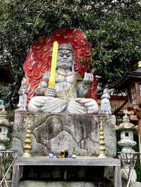 Nyoirinji Temple หรือวัดกบ🐸