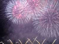 涙が出るほど美しい、大曲の花火大会の真髄🎆