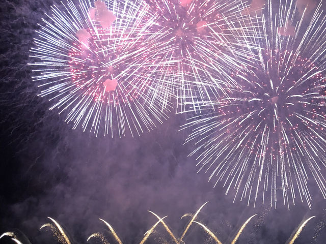 涙が出るほど美しい、大曲の花火大会の真髄🎆