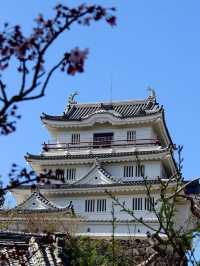 🏯海に浮かぶ城の絶景！平戸城で歴史と自然のコラボレーションを満喫🌊