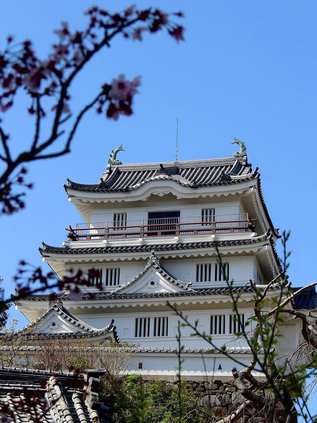 🏯海に浮かぶ城の絶景！平戸城で歴史と自然のコラボレーションを満喫🌊