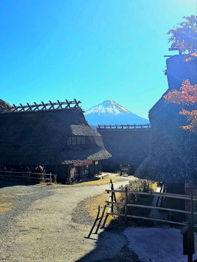 Healing Village by Mt. Fuji: Saiko Iyashi‑no‑Sato Nenba