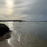 Beautiful beach, soft sand, loads of parking and Great walking around Hengistbury Head.