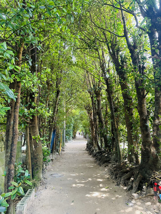 Peaceful Escape in Northern Okinawa - Bise Village & Emerald Beach