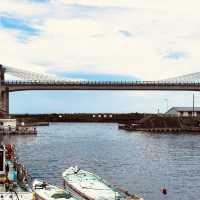 Odawara Harbor: A Solo Traveler’s Salt-Kissed Escape Under the Castle Walls"** 🏯🌊