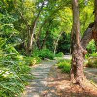 Green Escape in the City