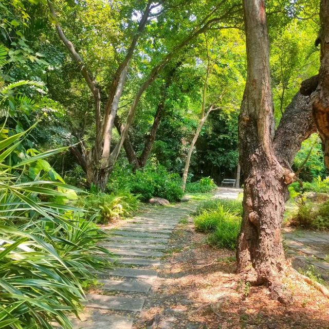 Green Escape in the City