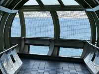 Kobe Maiko: A Half-Day Surprise (and Regret!) by the Sea! 🌊🍣