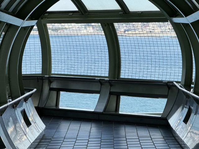 Kobe Maiko: A Half-Day Surprise (and Regret!) by the Sea! 🌊🍣