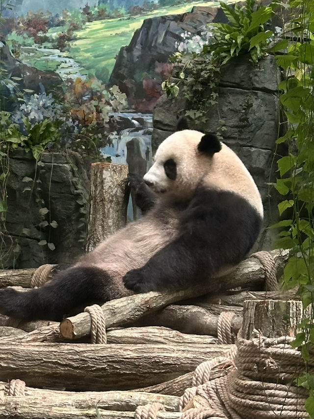 熊貓谷
