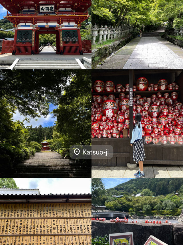 A Day with me In OSAKA & KYOTO