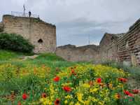 Narikala Fortress Has All the Views
