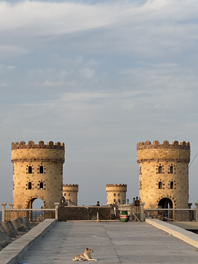 Lighthouse Cannibals: Qaytbay’s Stone-Shop Fortress
