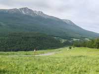Beautiful Guanyutai: Wildflowers in Bloom
