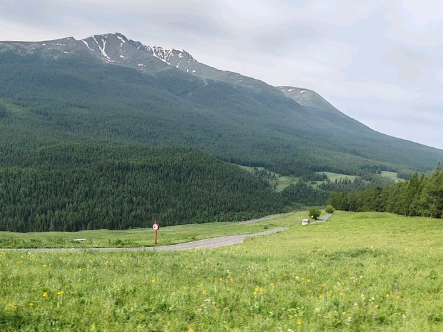 Beautiful Guanyutai: Wildflowers in Bloom