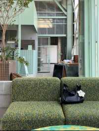 A Cafe Teshima คาเฟ่สไตล์โรงงานบนเกาะเทชิมะ