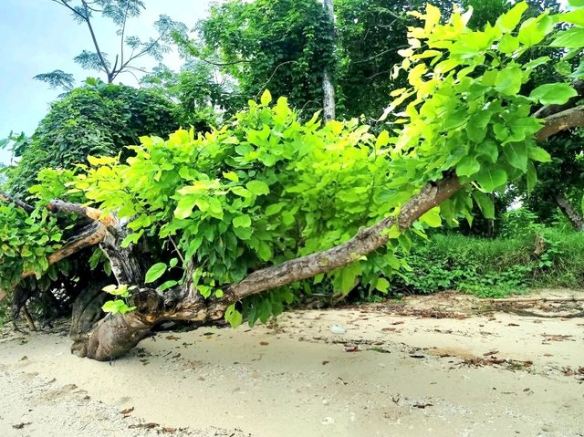 Canigao Calm: A Simple Island Escape