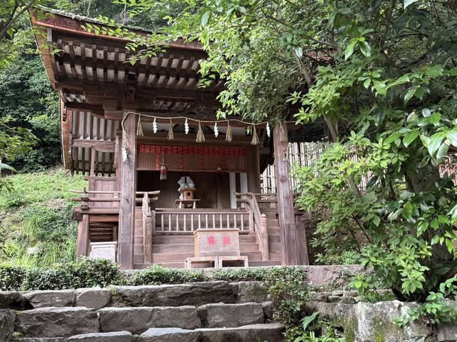【宇治平等院鳳凰堂】10円玉の世界遺産で、時を超える美を体感🕊️✨