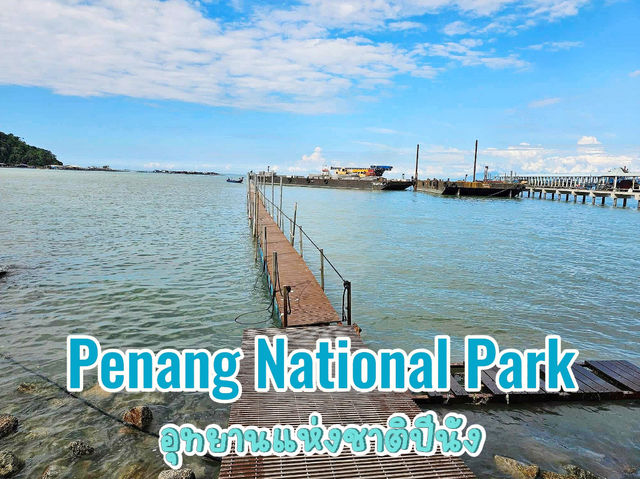 Penang National Park