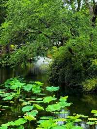 Humble Administrator’s Garden, Suzhou: A Timeless Masterpiece of Chinese Landscape Art 