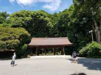 วัดเมจิ (Meiji Jingu) – ศาลเจ้าศักดิ์สิทธิ์