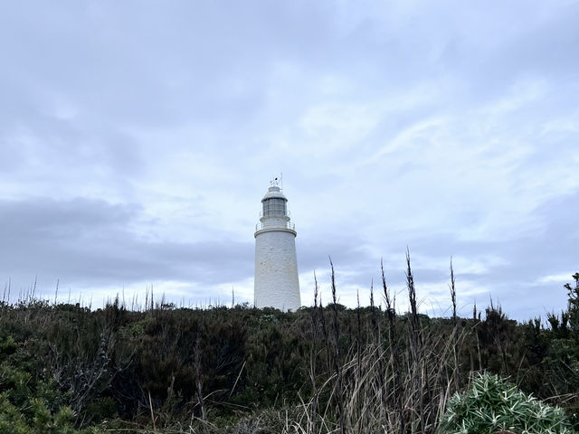 Bruny Island – เกาะเล็กๆ ที่เต็มไปด้วยความทรงจำ