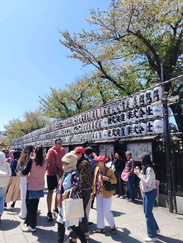 “From Giant Lanterns to Tiny Dolls: A Soulful Stroll Through Asakusa