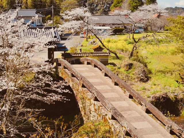 🏯✨ *Sekisuiji Temple: A Hidden Zen Oasis in Shikoku* 🍃🌸